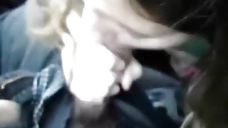hotty blows in the car